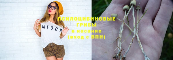 каннабис Алзамай
