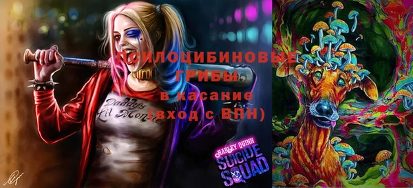 соль курить ск Алексеевка